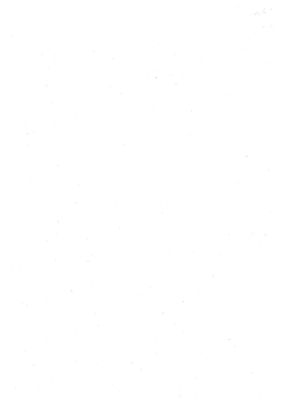 Pagina 4 del documento