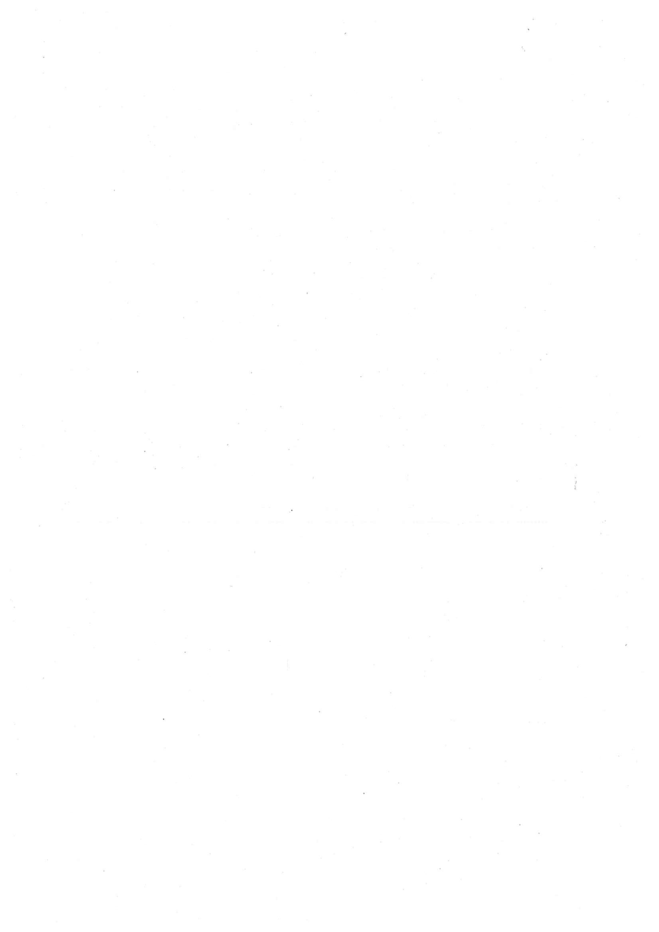 Pagina 4 del documento