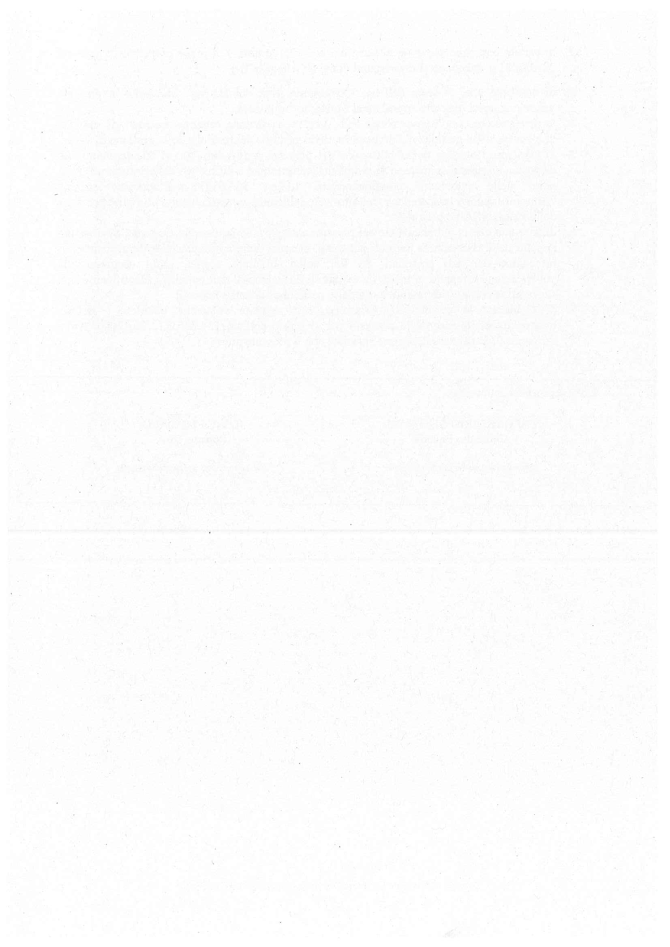 Pagina 4 del documento