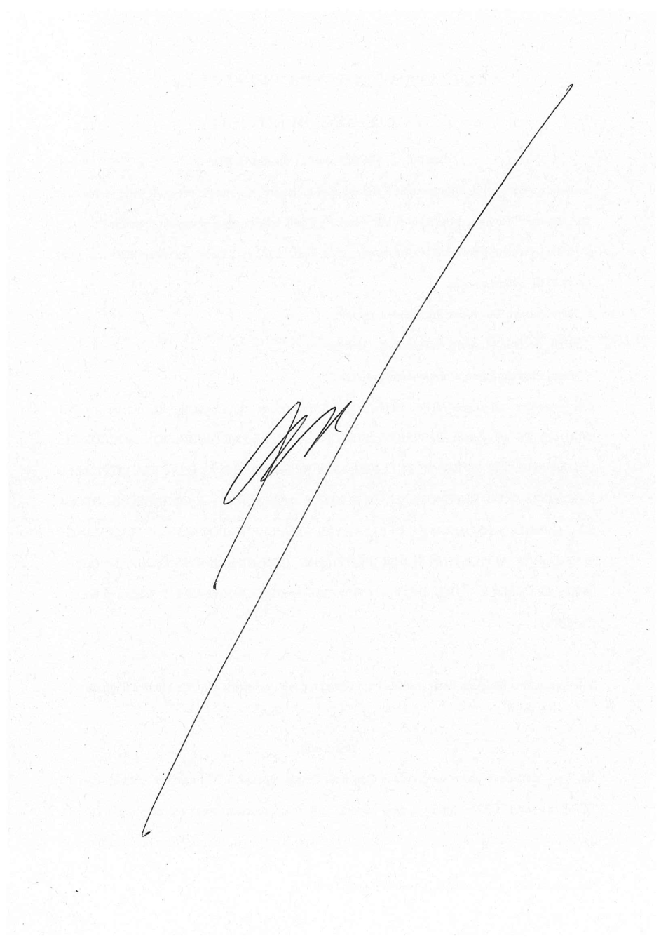 Pagina 2 del documento