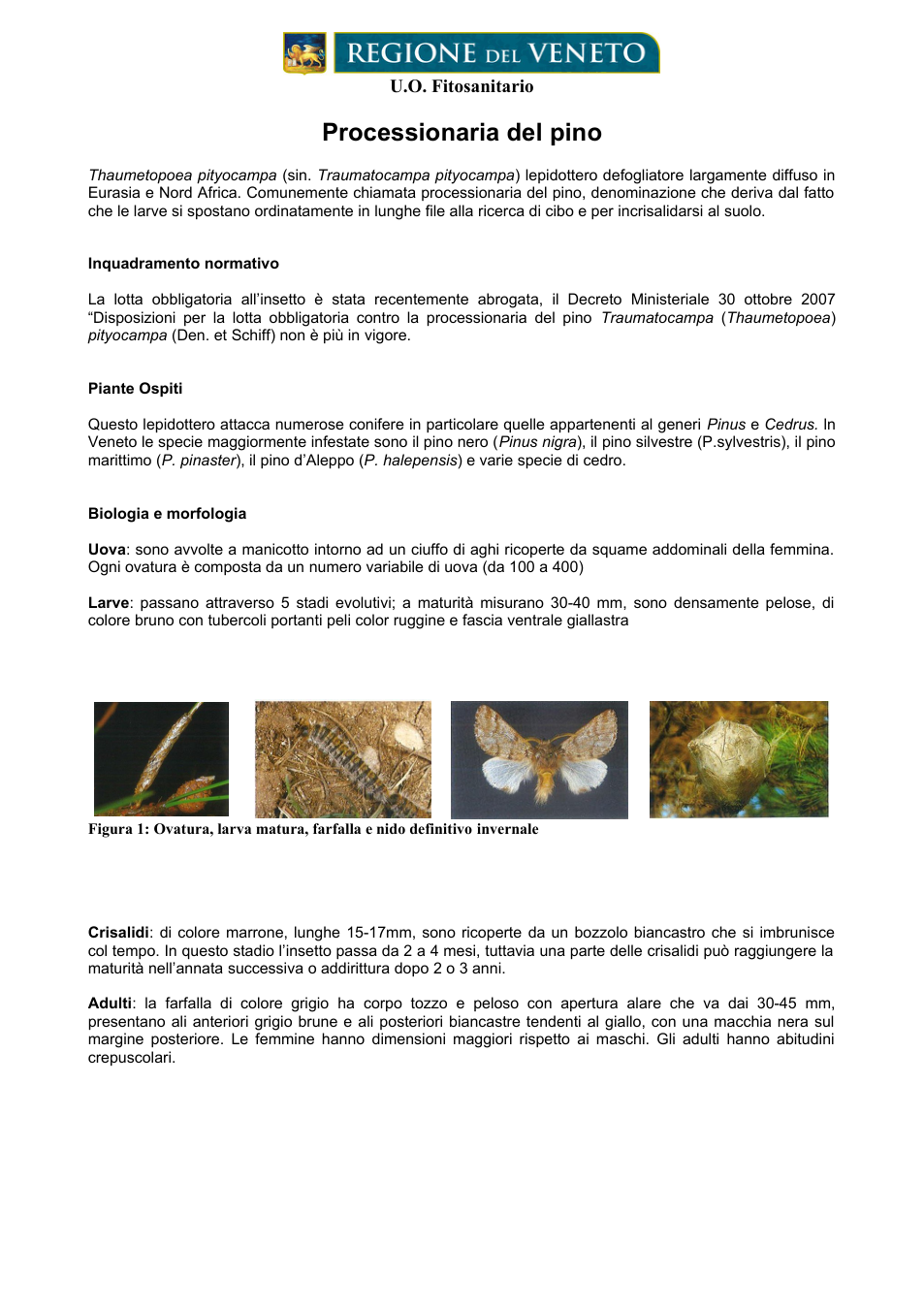 Pagina 1 del documento