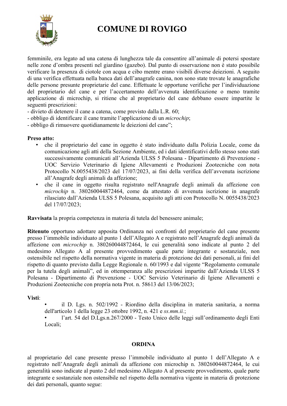 Pagina 2 del documento