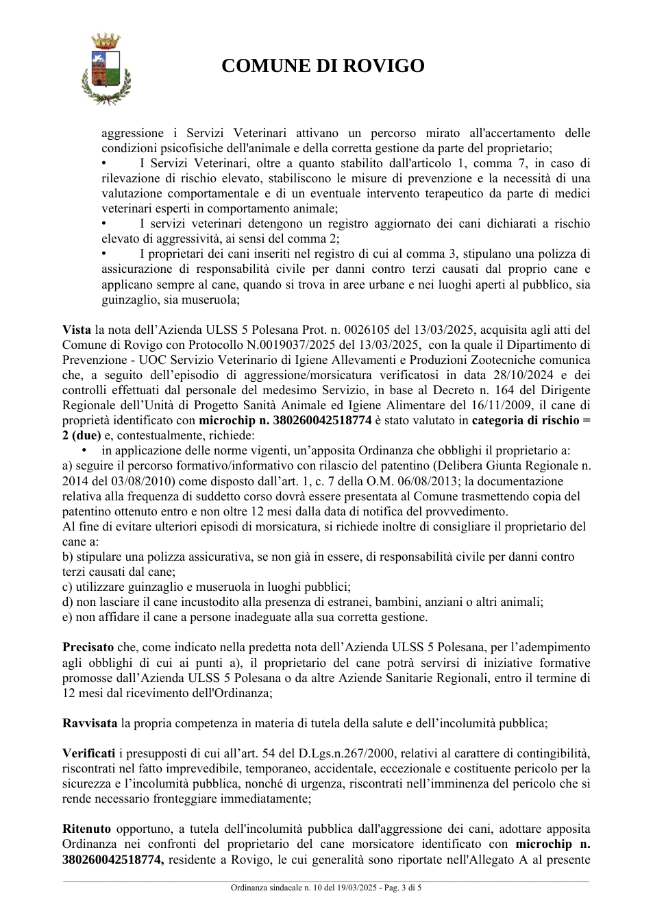 Pagina 3 del documento